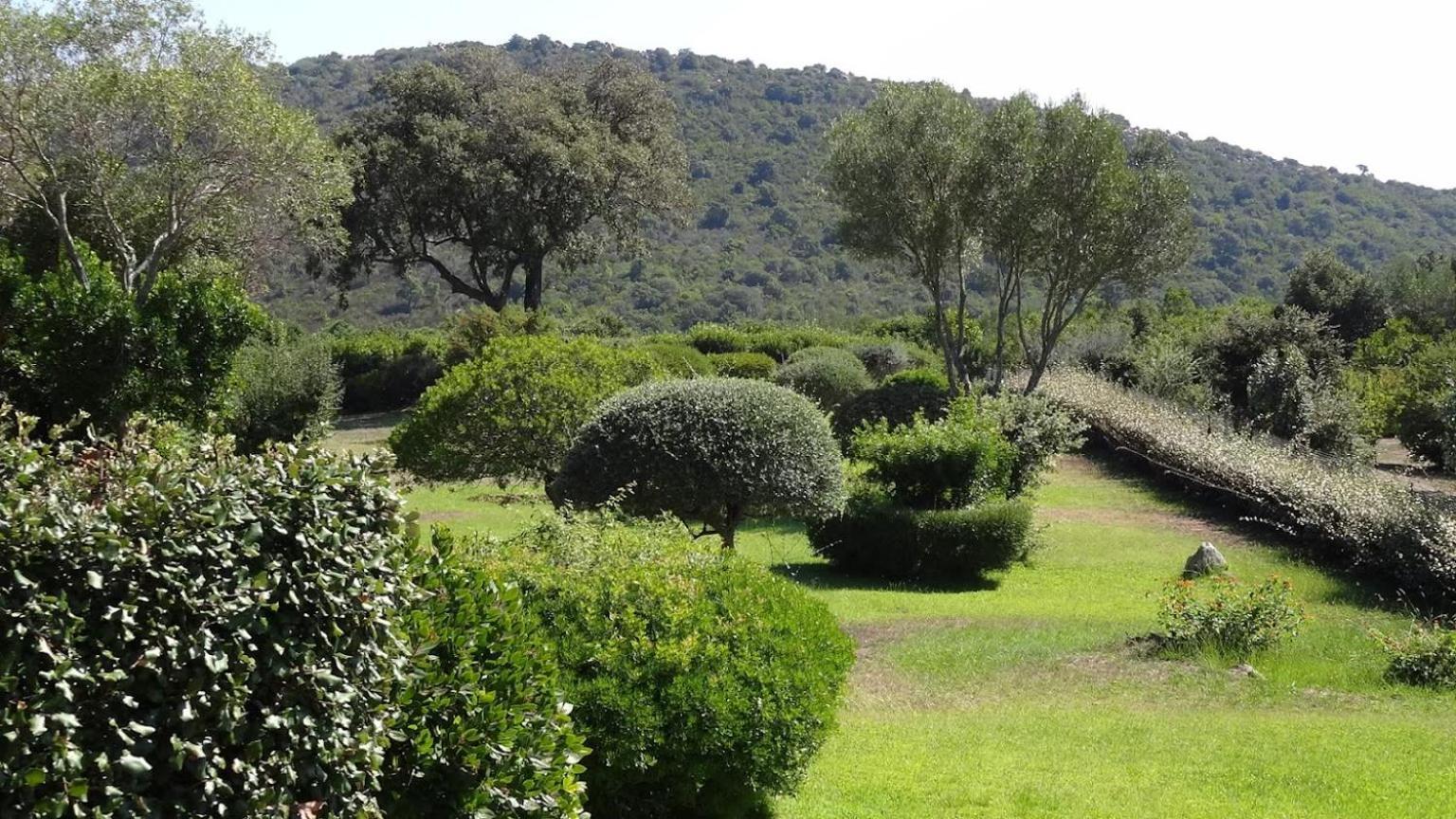 Les Hauts De Santa Giulia Porto-Vecchio  Eksteriør billede